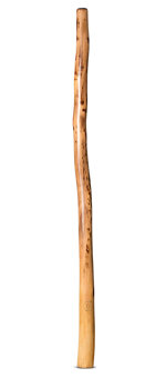 CrookedStixz Didgeridoo (AH399)
